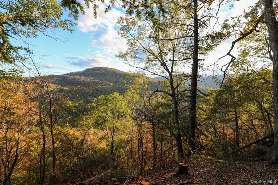 TBD NY-28 Route, Phoenicia, NY  - Image #3