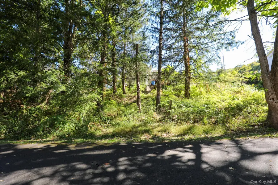 99 Gross Street, Kingston, NY 12401 - Image #2