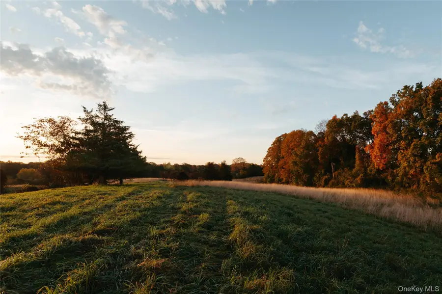 78,79 Fox Lane, Tivoli, NY 12583 - Image #2