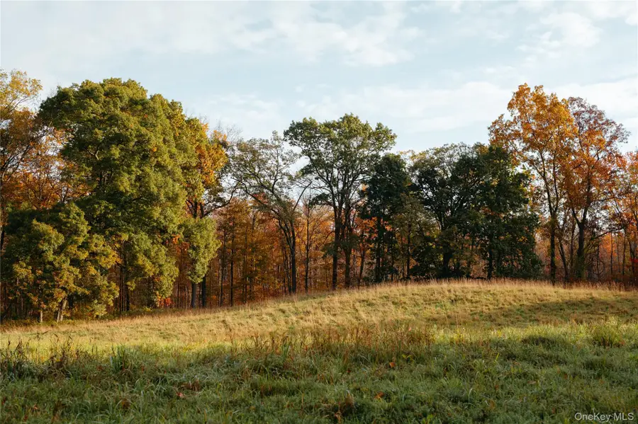 78,79 Fox Lane, Tivoli, NY 12583 - Image #3