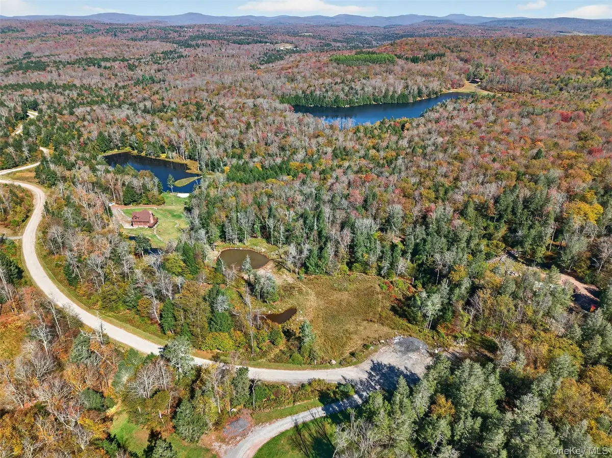 TBD Black Bear Crossing, Parksville, NY 12768 - Image #1