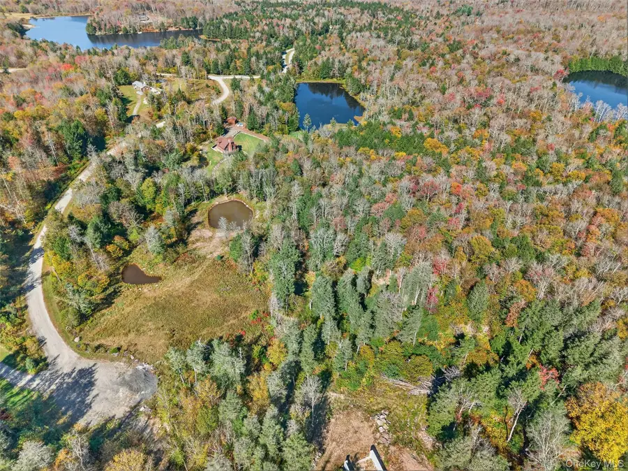 TBD Black Bear Crossing, Parksville, NY 12768 - Image #2