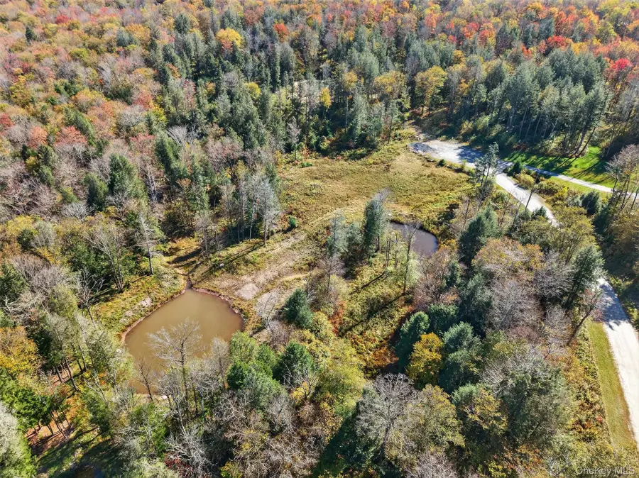 TBD Black Bear Crossing, Parksville, NY 12768 - Image #3