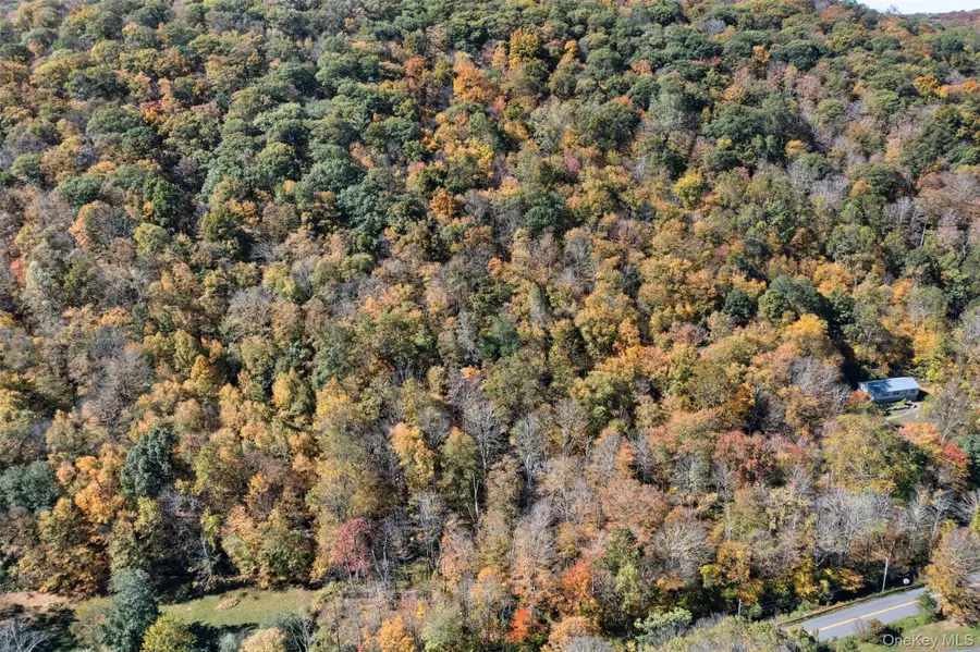 Wiccopee Road, Putnam Valley, NY 10579 - Image #3