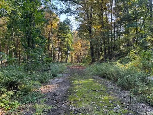 240 Boardman Road, Poughkeepsie, NY 12603 - Image #2