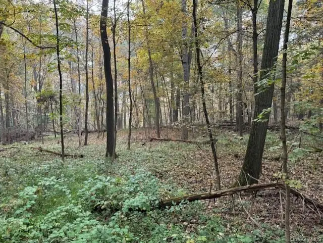 240 Boardman Road, Poughkeepsie, NY 12603 - Image #3