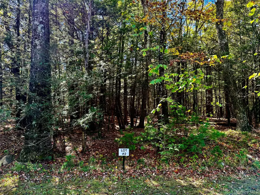 67 Falling Waters Drive, Palenville, NY 12463 - Image #3