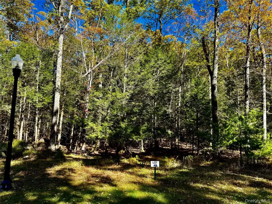 78 Falling Waters Drive, Palenville, NY 12463 - Image #2