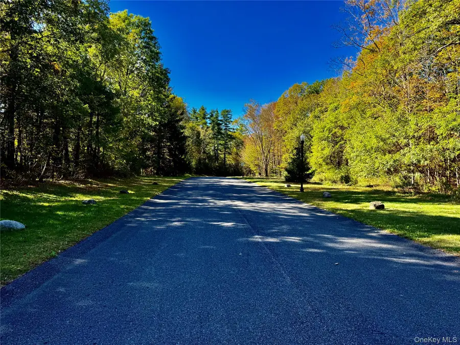 78 Falling Waters Drive, Palenville, NY 12463 - Image #3