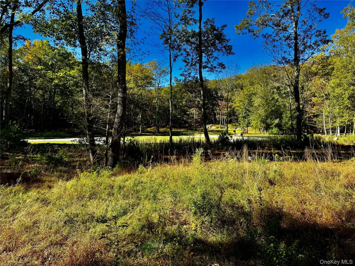 86 Falling Waters Drive, Palenville, NY 12463 - Image #1