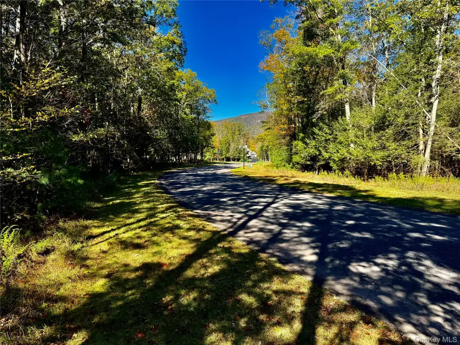 44-86 Falling Waters Drive, Palenville, NY 12463 - Image #3