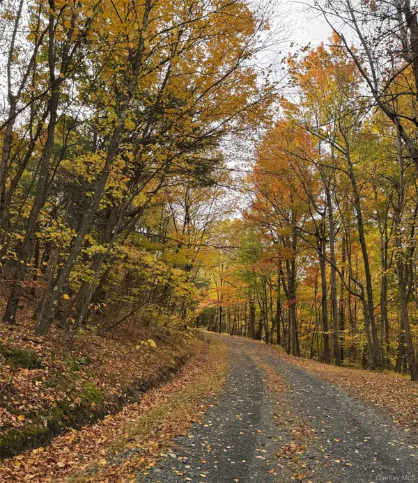 100 Knob Hill Road, Stanfordville, NY 12581