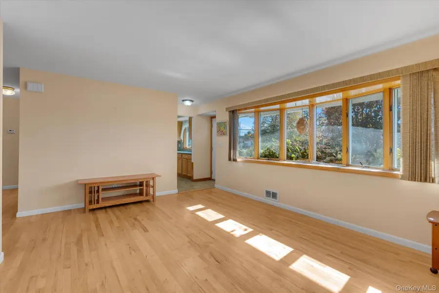 29 Adelphi Road, Hicksville, NY 11801 - Image #2