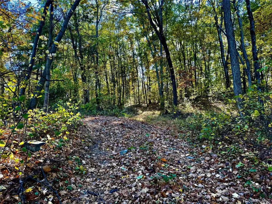 36 Fallkill Road, Hyde Park, NY 12538 - Image #3