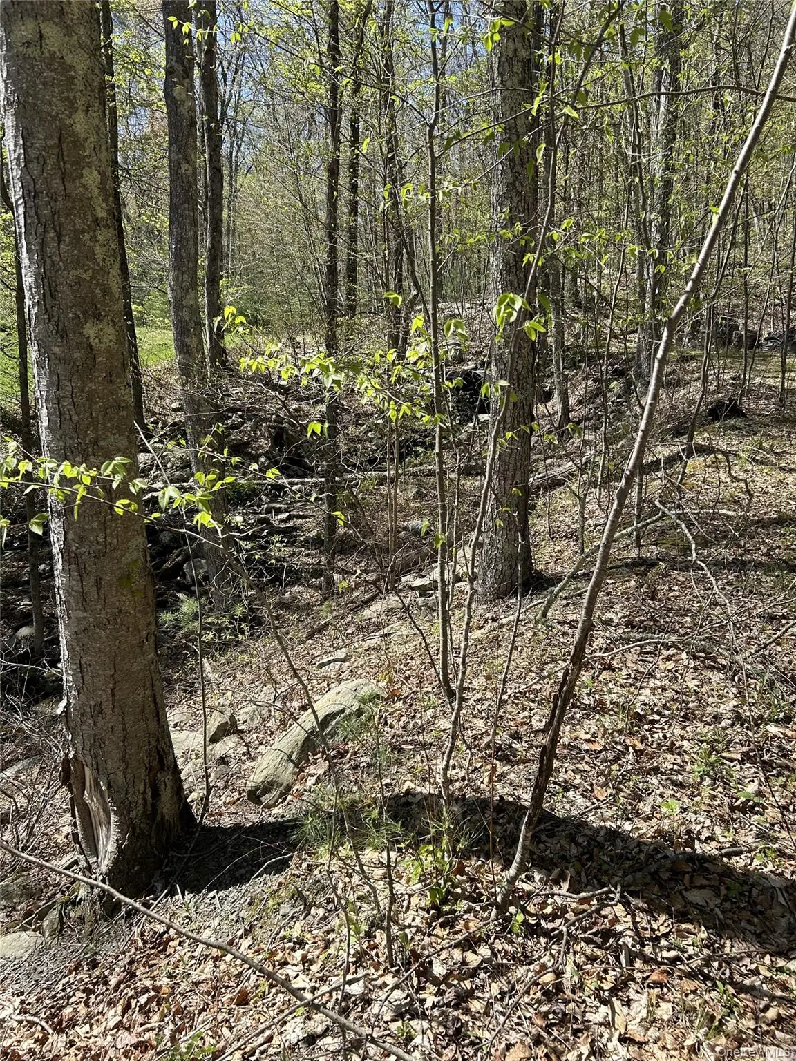 14 Hawk Mountain Drive, Deerpark, NY 12780 - Image #1