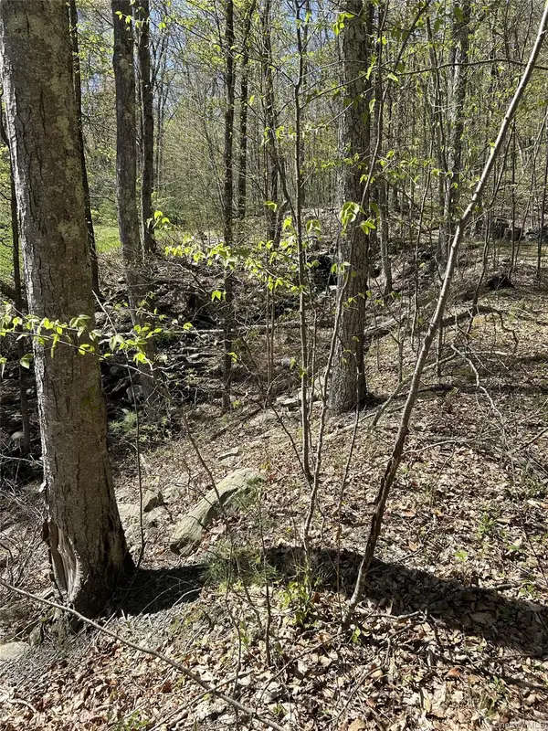 14 Hawk Mountain Drive, Sparrowbush, NY 12780