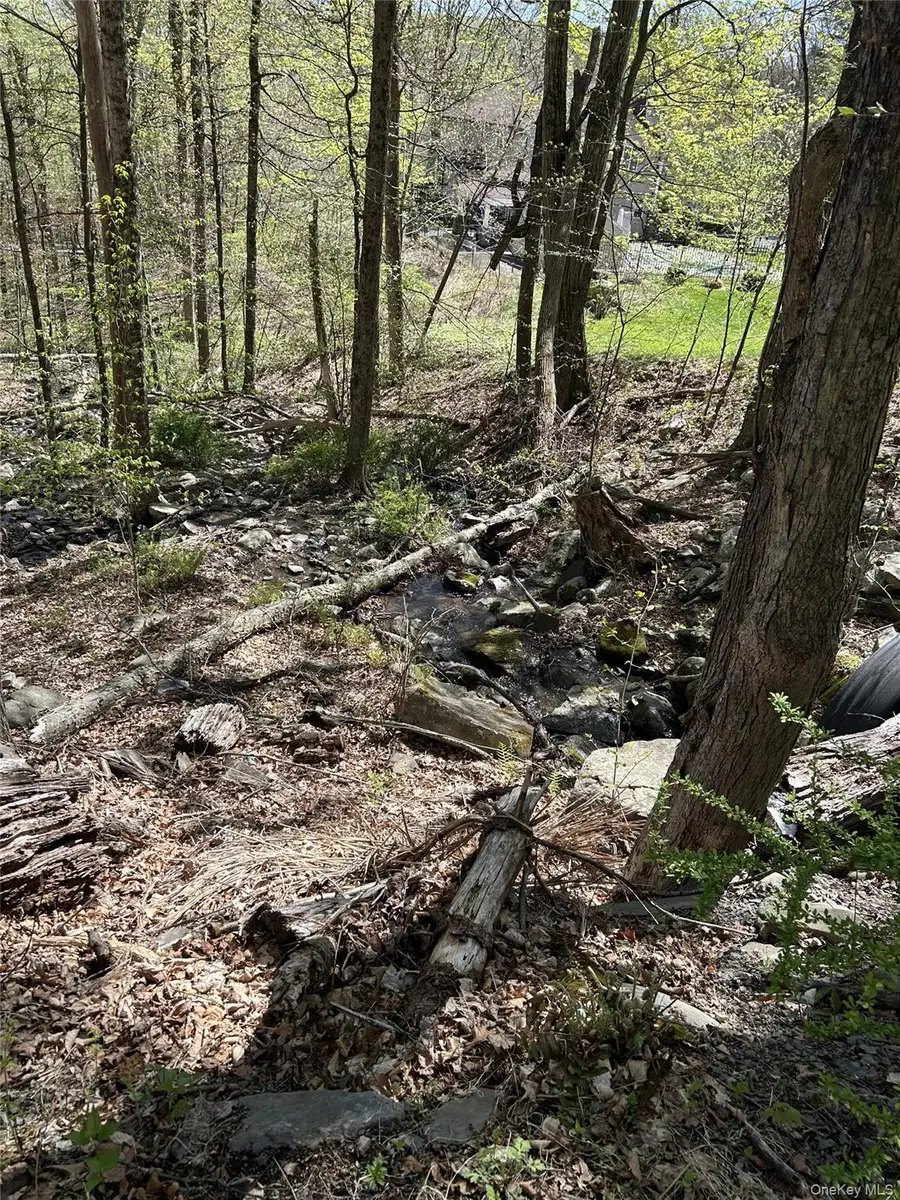 14 Hawk Mountain Drive, Deerpark, NY 12780 - Image #2