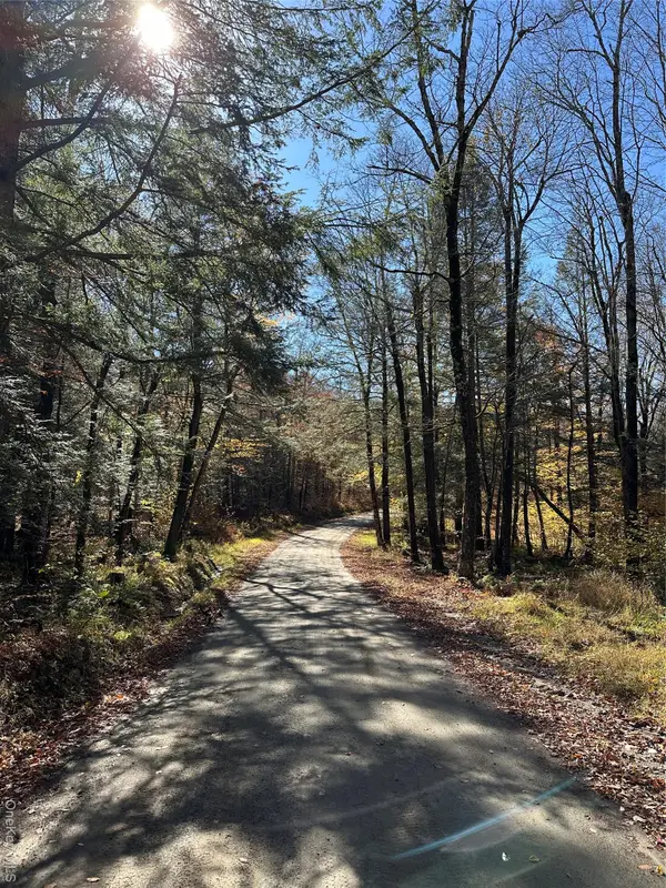 24 Mud Pond Road, Livingston Manor, NY 12758