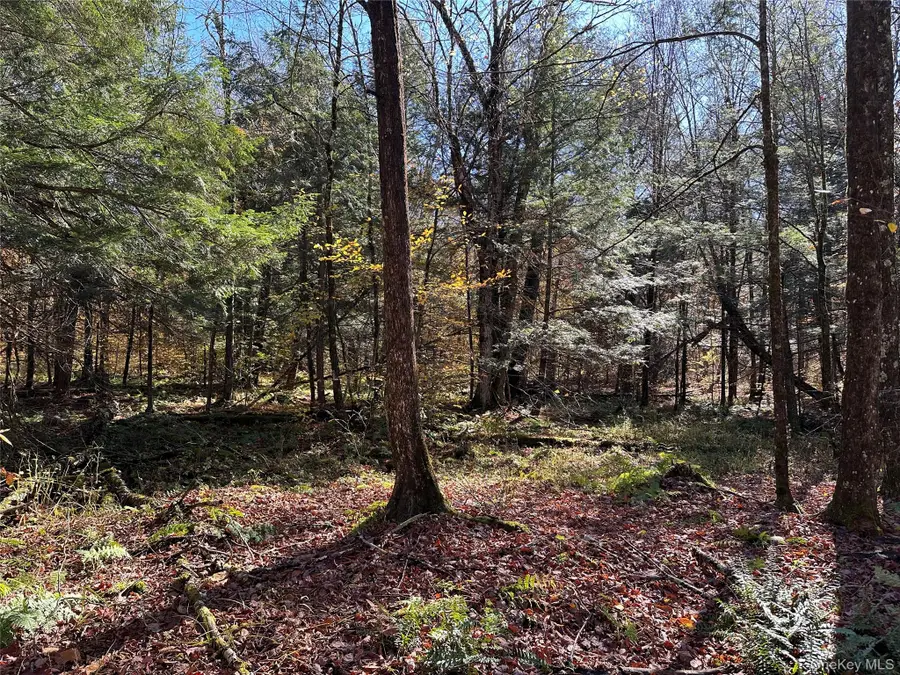 24 Mud Pond Road, Livingston Manor, NY 12758 - Image #3