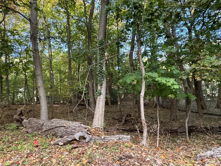 Thompson St/e. Broadway, Port Jefferson, NY 11777 - Image #3