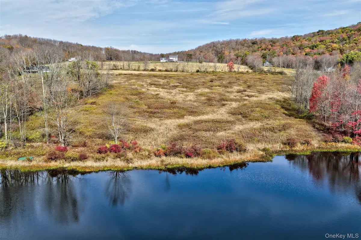 TBD Meadow Lane, Fremont, NY 12736 - Image #1