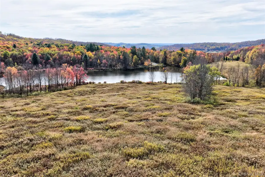 TBD Meadow Lane, Fremont, NY 12736 - Image #3