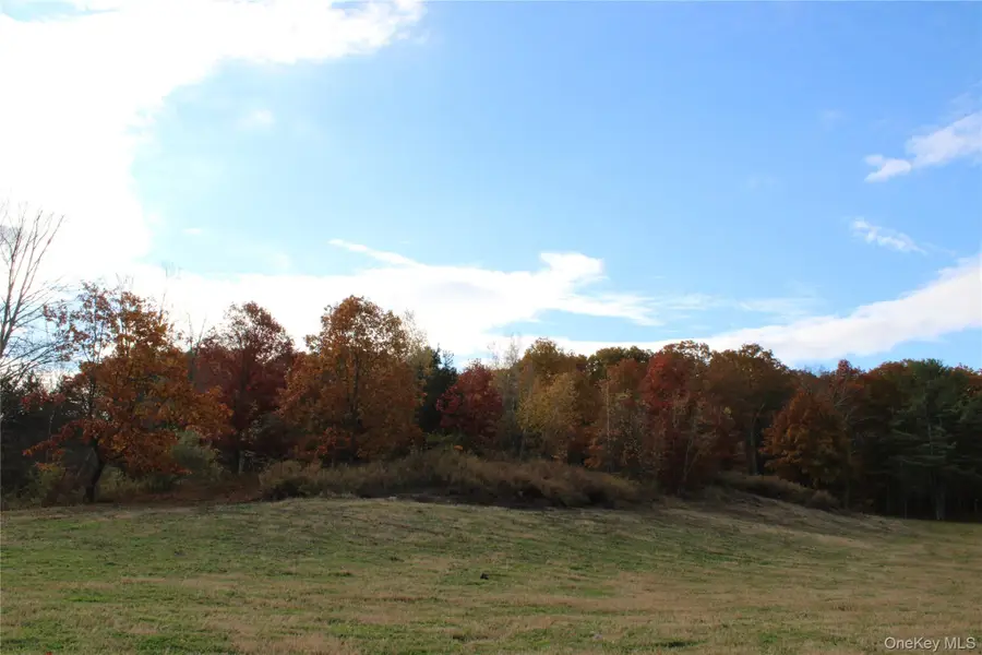 Round Lake Road, Rhinebeck, NY 12572 - Image #3