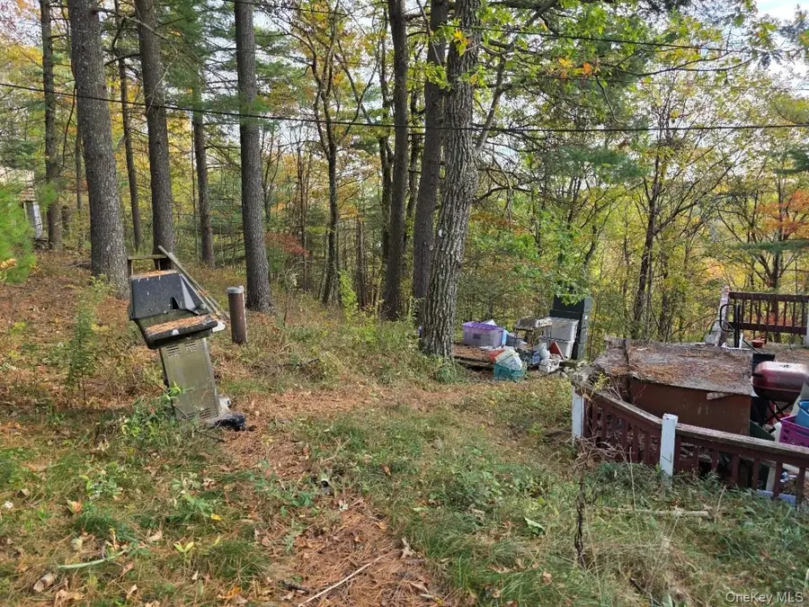 43 Hilltop Trail, Wurtsboro, NY 12790 - Image #2