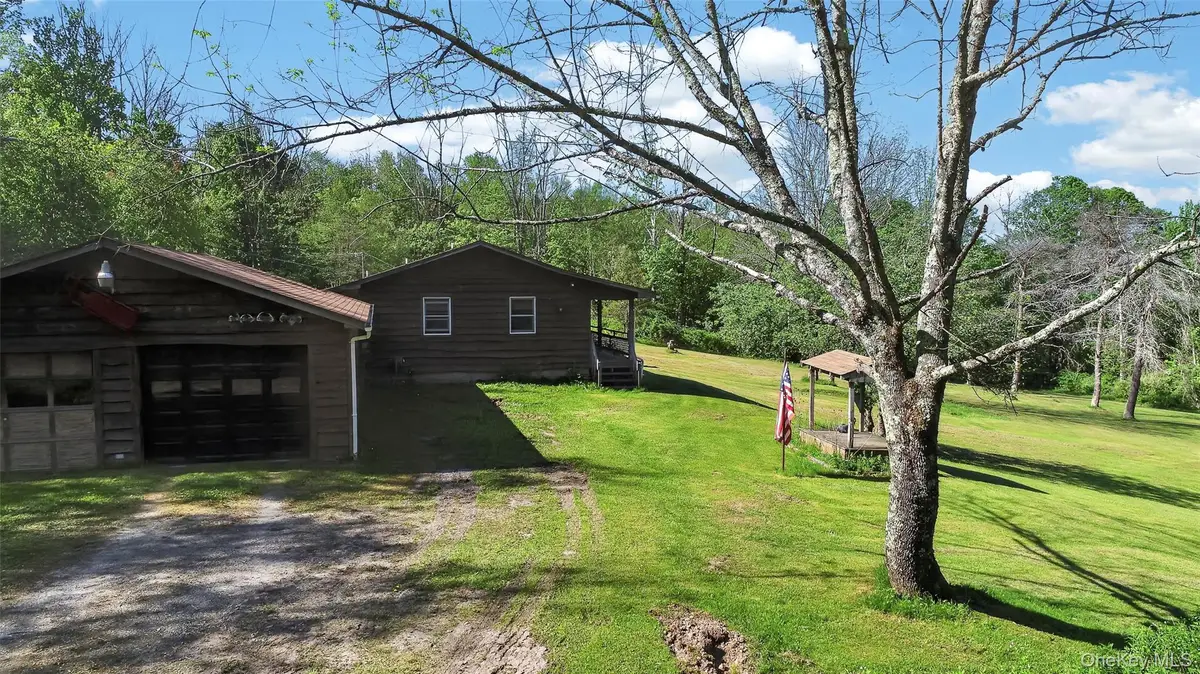 50 Hahn Road, Callicoon Center, NY 12724 - #1