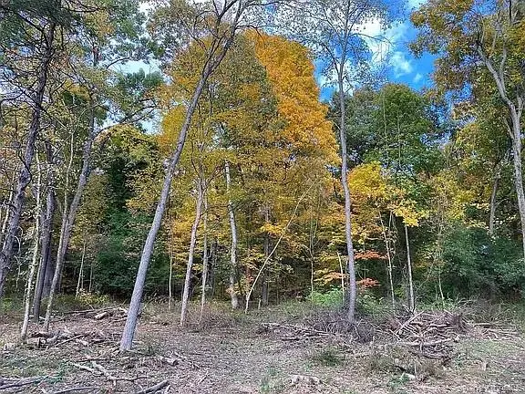 410 County Rt. 25, Stockport, NY 12434 - Image #3