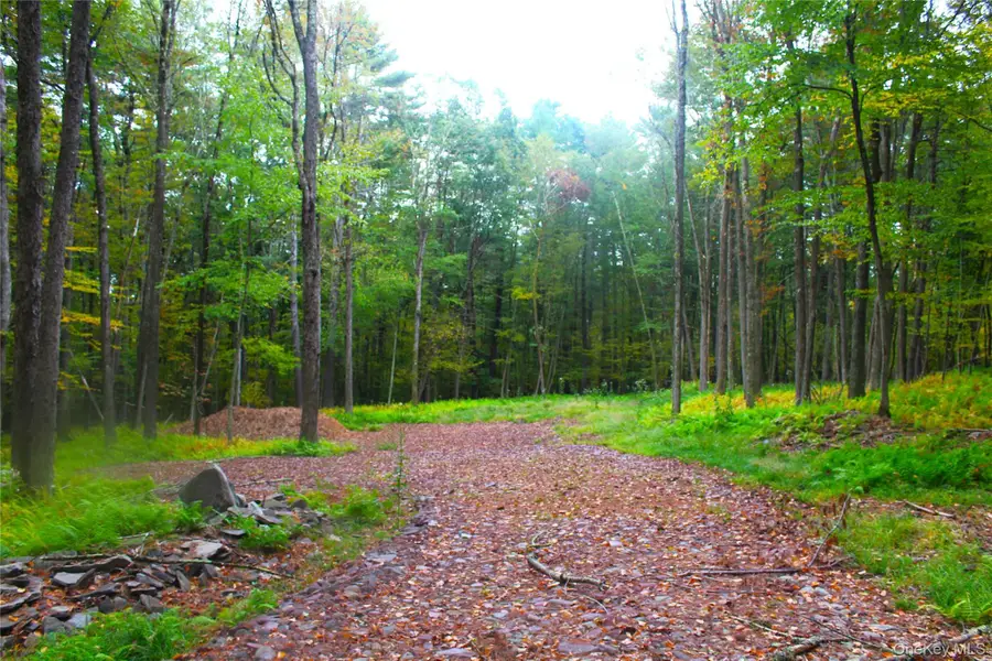 Lot 2 Evergreen Lane, Narrowsburg, NY 12764 - Image #3