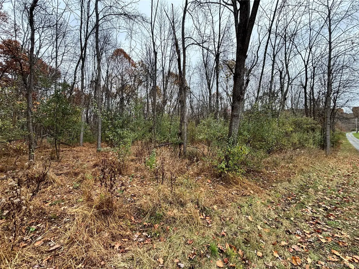 Gildea Ln, Westtown, NY 10998 - Image #1