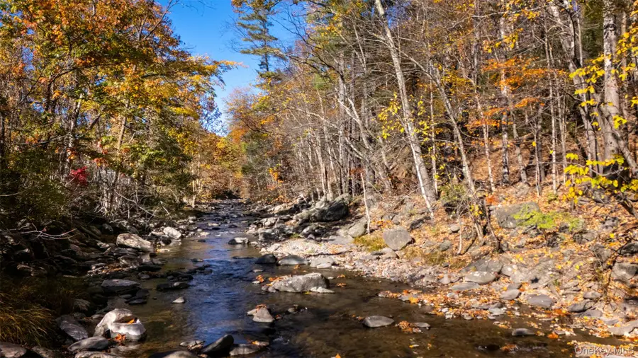 3207-3209 Route 212, Woodstock, NY 12498 - Image #2