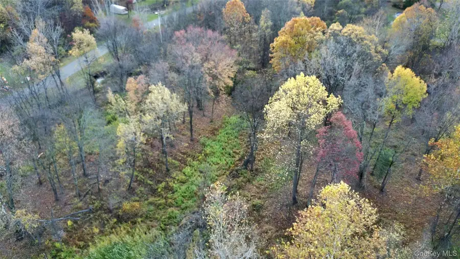 TBD Evy/chestnut Lane, Milton, NY 12547 - Image #2