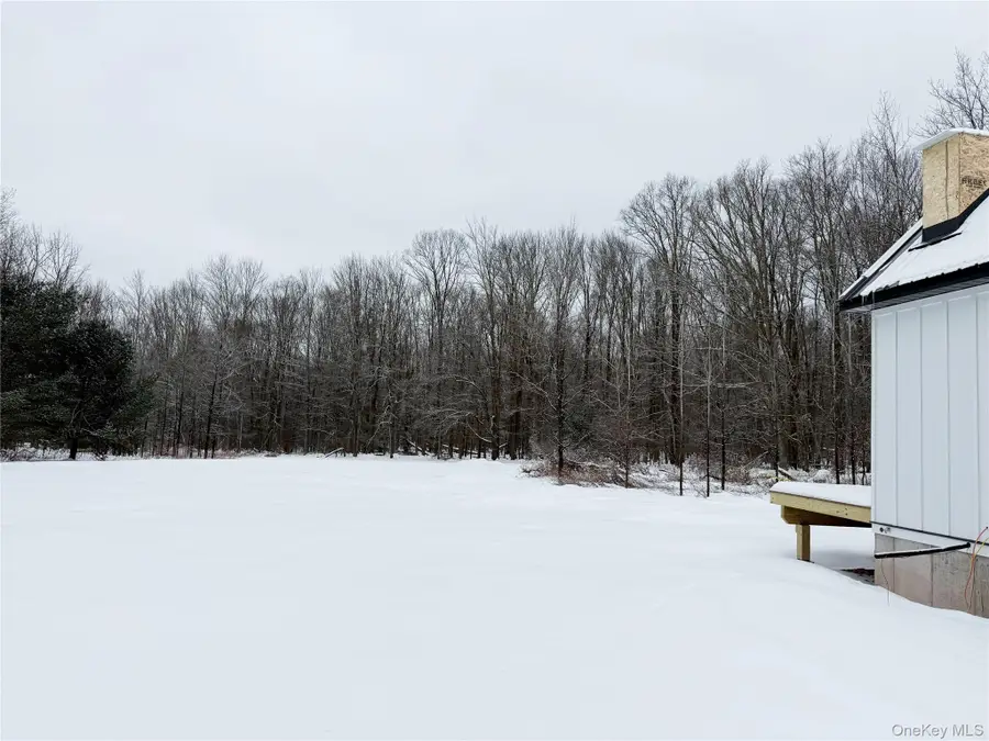 1114 County Road 114, Cochecton, NY 12726 - Image #3