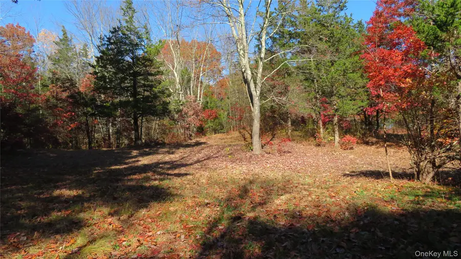 0 N. Quaker Lane, Staatsburg, NY  - Image #3