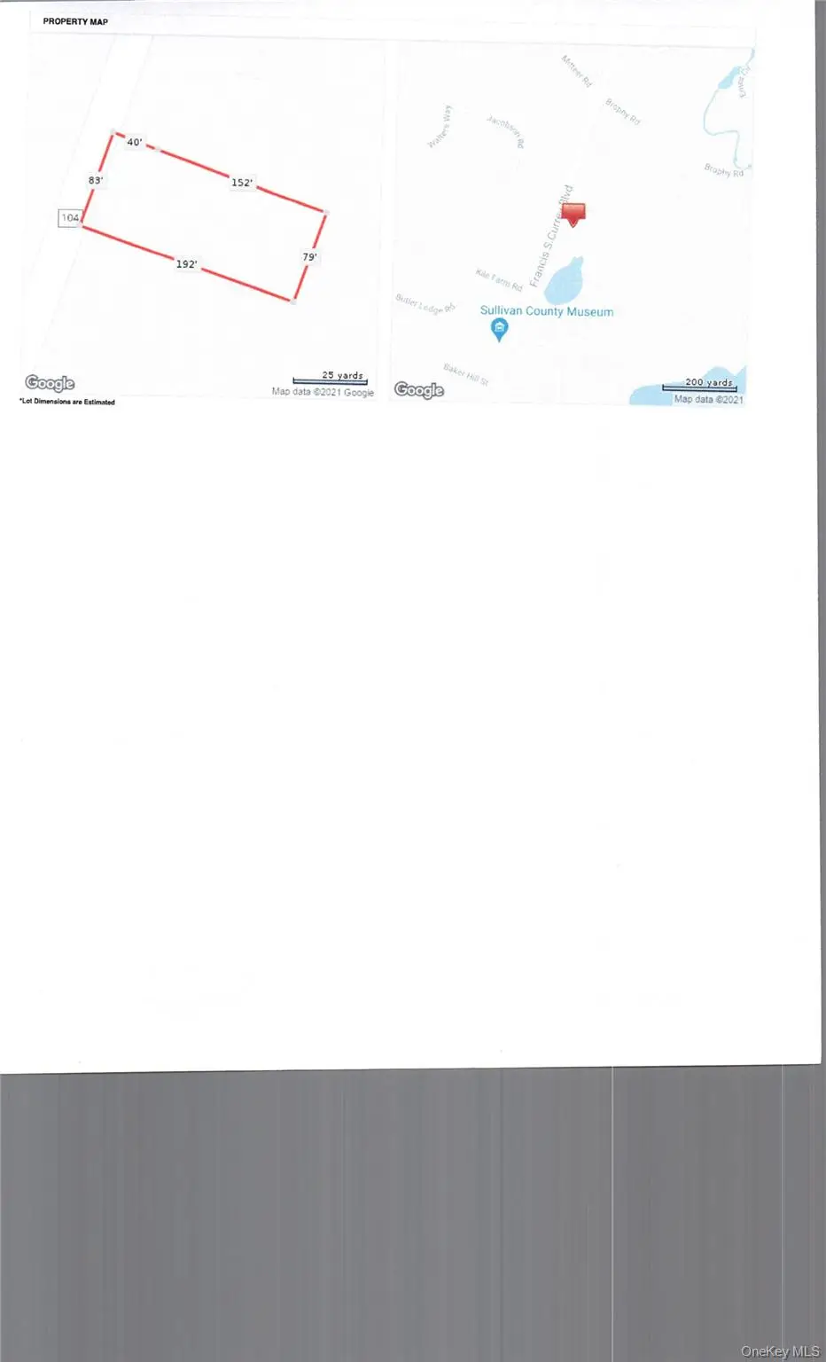 County Highway 104, Fallsburg, NY 12733 - Image #1