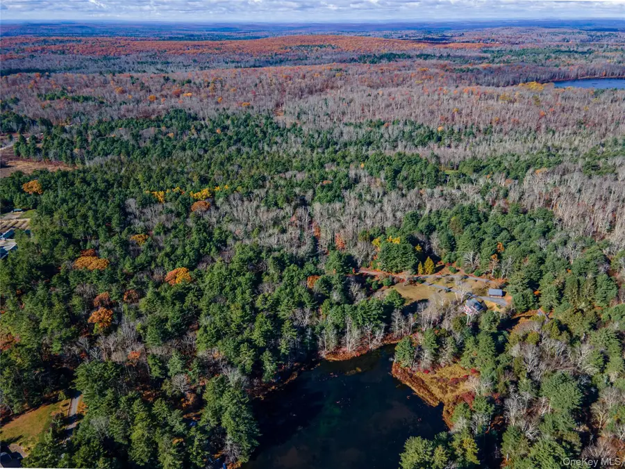 1 Philwold Road, Forestburgh, NY 12777 - Image #2