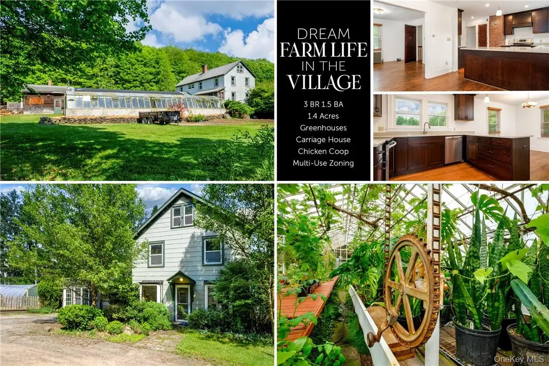 265 Main Street, Delhi, NY 13753 - Image #1