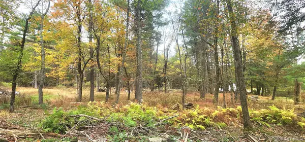 Kukas Road, Monticello, NY 12701