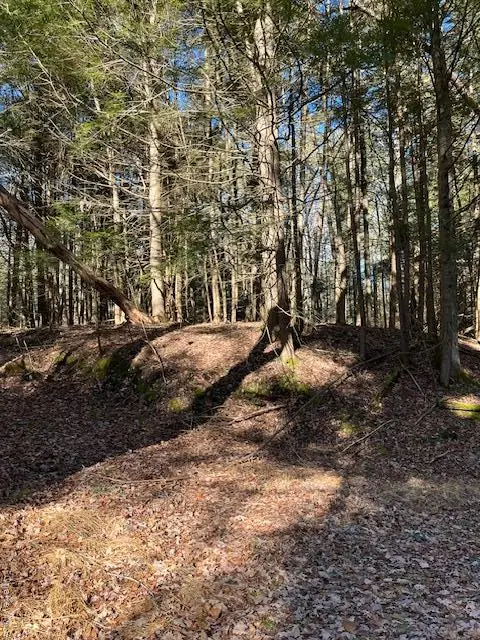 198 W Starlight Drive, Smallwood, NY 12778