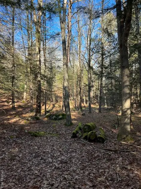 198 W Starlight Drive, Smallwood, NY 12778 - Image #2