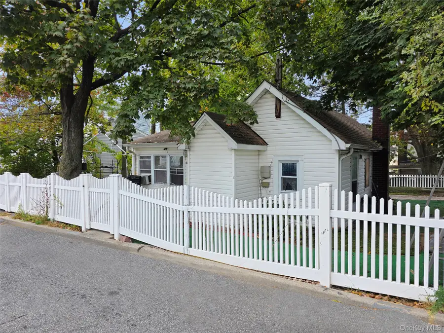 44 Carnegie Avenue, Elmont, NY 11003 - #3