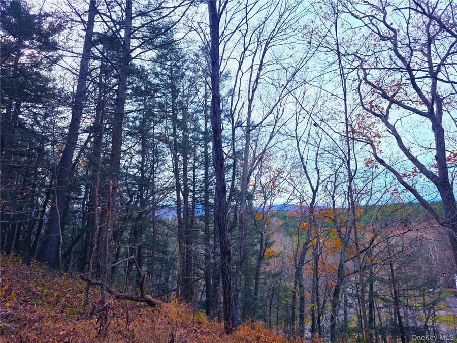 0 County Route 41, Cairo, NY 12413 - Image #2