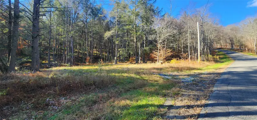 00 Hunter Road, Claryville, NY 12725 - Image #2