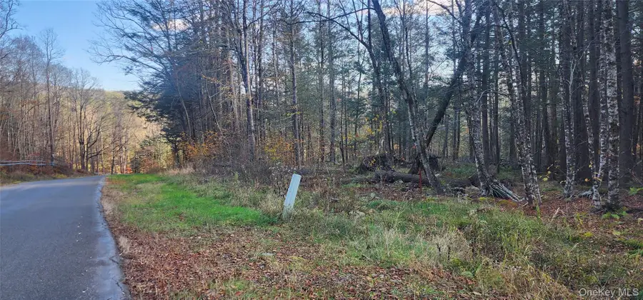 00 Hunter Road, Claryville, NY 12725 - Image #3