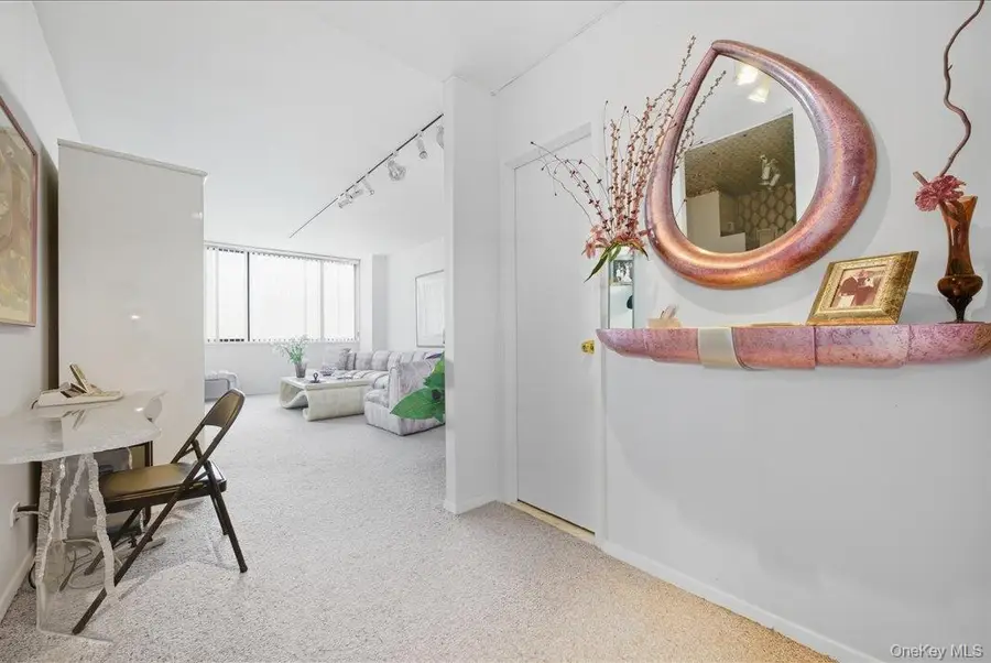 27010 Grand Central Parkway #21M, Queens, NY 11005 - Image #2