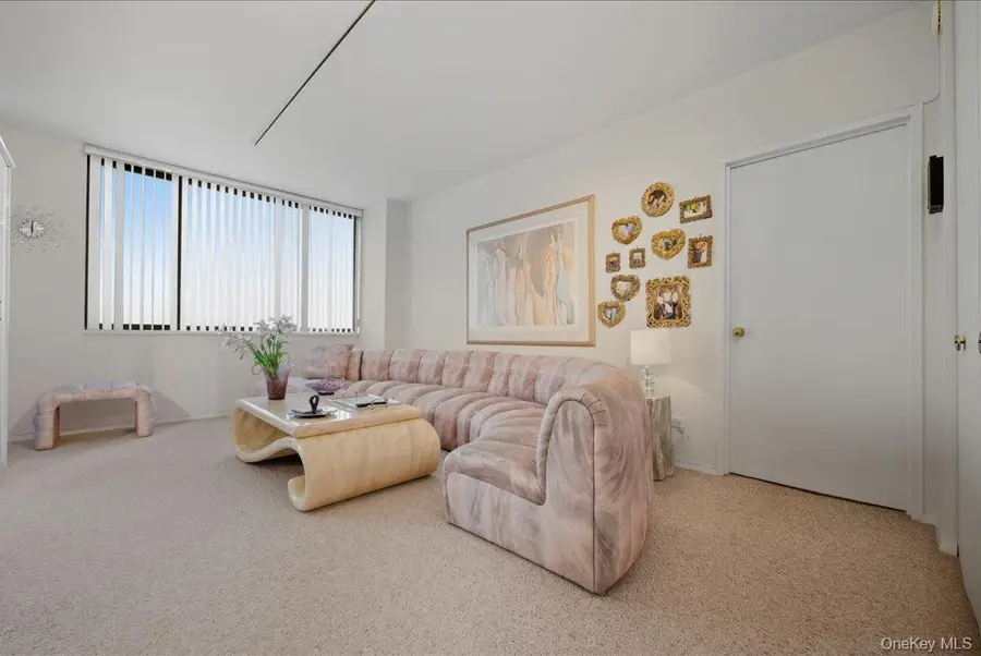 27010 Grand Central Parkway #21M, Queens, NY 11005 - Image #3