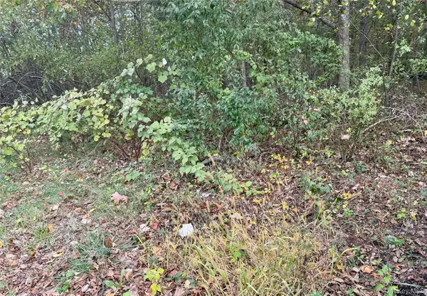 0 Phoenix Avenue, Port Jefferson Station, NY 11776