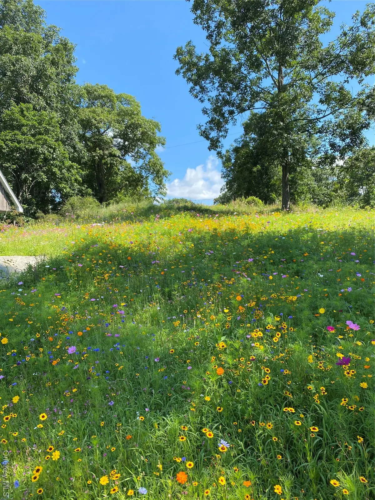 12 Powers Lane, Saugerties, NY 12477 - #1